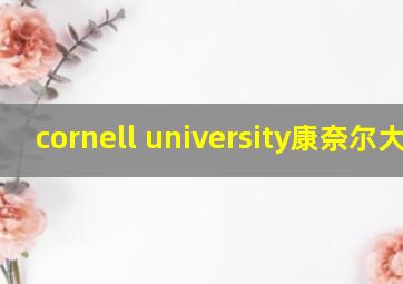 cornell university康奈尔大学